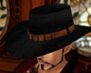 Western Hat Brown Band