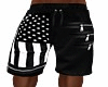american beach shorts