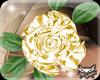 ! Aly gold rose