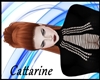 [Cat]Starls Ginger