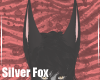 SilverFox-EarsV4