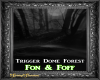 DJ Trigger Dome Forest