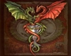 Celtic Dragon Bar