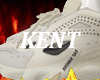 RAFS