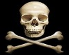 skull n crossbones