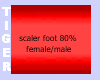 SCALER FOOT 80%F/M