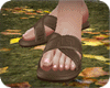 Brown Slippers