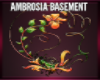 Ambrosia Basement