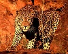Leopard Club