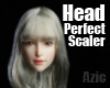 Az Perfect Head Scaler F