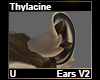 Thylacine Ears V2