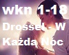 Drossel - W Kazda Noc
