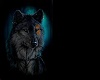 Framed Wolf Art