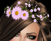 *T* Pink daisy crown