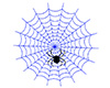 Blue Spider Web