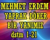 DOSTUM DOSTUM