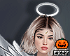 Angel Full Set 2022