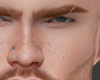 Harry Ginger Brow