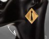 (BR) Gold Earrings CT