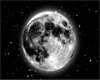 moon eyes