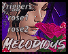 M♪ Pink Rose