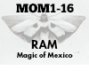 RAM Magic of Mexico