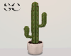 SC Plant 15 - cactus v1