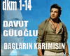 DAVUT GULOGLU