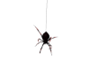 Makasabit Spider
