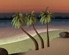 SunSetIsland 3Bent Palms