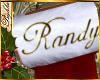 I~Stocking*Randy