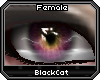 [BC] Drama | Meadow F