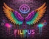 Filipus - Exclusive 2