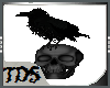 [TDS]Skull Crow