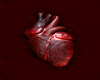 Heart  M/F
