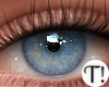 T! Beauty Eyes 3