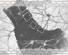 neurons