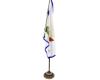 Vice President Flag