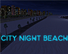 CITY NIGHT BEACH