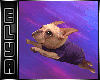 Fly Action derivable