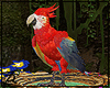 !R Parrot Animated