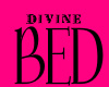 Divine Cuddle Bed