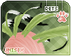 [Pets] Izu |head feather