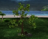 Paradise Camp Fire Tree