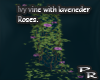 Req. Ivyvines w lavender