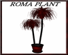 (TSH)ROMA PLANT