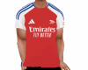 Camiseta EM