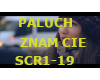 PALUCH-ZNAM CIE