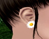 Daisy Spring Earrings~F