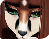 Brows | Black F